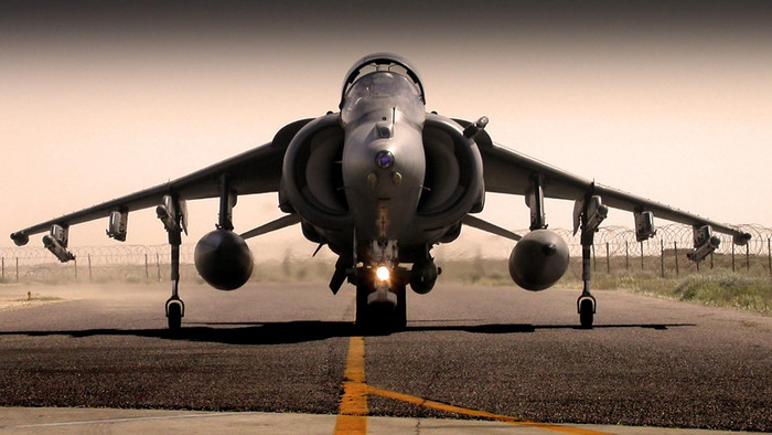 Harrier. Harrier.