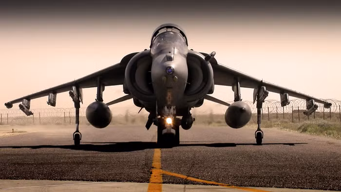 Harrier.