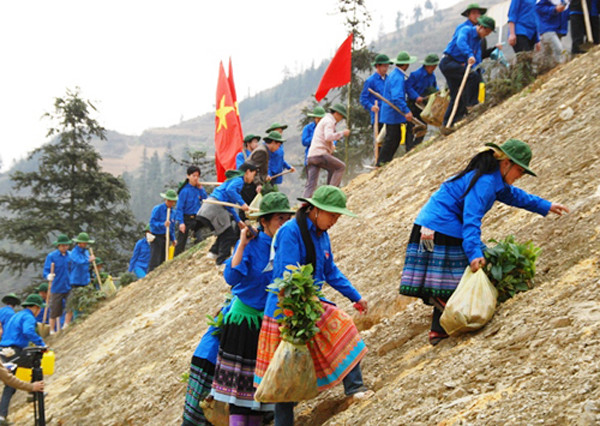 9. Tăng mức hỗ trợ đầu tư trồng rừng và khuyến lâm Từ 1/2/2012, theo Quyết định 66/2011/QĐ-TTg sửa đổi, bổ sung một số điều của Quyết định số 147/2007/QĐ-TTg về một số chính sách phát triển rừng sản xuất giai đoạn 2007 - 2015, tổ chức, hộ gia đình, cá nhân và cộng đồng ở các xã đặc biệt khó khăn trồng rừng trên đất trống, đồi núi trọc, quy hoạch là rừng sản xuất thì được hỗ trợ vốn từ ngân sách nhà nước với mức hỗ trợ cao hơn. Cụ thể, trồng các loài cây sản xuất gỗ lớn (khai thác sau 10 năm tuổi), cây bản địa thì được hỗ trợ 4,5 triệu đồng/ha thay vì 3 triệu đồng/ha như quy định cũ; trồng các loài cây sản xuất gỗ nhỏ (khai thác trước 10 năm tuổi), mức hỗ trợ 3 triệu đồng/ha (quy định cũ là 2 triệu đồng/ha). Trường hợp tổ chức, hộ gia đình, cá nhân và cộng đồng trồng rừng không thuộc đối tượng nêu trên thì được hỗ trợ cây giống, khuyến lâm, mức hỗ trợ tối đa 2,25 triệu đồng/ha (quy định cũ 1,5 triệu đồng/ha); nếu trồng cây phân tán, mức hỗ trợ 2,25 triệu đồng/1.000 cây phân tán (tương đương một ha rừng trồng) (quy định cũ là 1,5 triệu đồng/1.500 cây phân tán, tương đương một ha rừng trồng). Mức hỗ trợ cụ thể được căn cứ vào giá cây giống do UBND cấp tỉnh công bố hàng năm. Mức hỗ trợ chi phí cho công tác khuyến lâm cũng sẽ tăng từ 200.000 đồng/ha lên 300.000 đồng/ha trong 4 năm (1 năm trồng và 3 năm chăm sóc) nếu trồng rừng tại các xã đặc biệt khó khăn. Nếu trồng rừng tại các xã còn lại thì mức hỗ trợ tăng từ 100.000 đồng/ha lên 150.000 đồng/ha. 9. Tăng mức hỗ trợ đầu tư trồng rừng và khuyến lâm Từ 1/2/2012, theo Quyết định 66/2011/QĐ-TTg sửa đổi, bổ sung một số điều của Quyết định số 147/2007/QĐ-TTg về một số chính sách phát triển rừng sản xuất giai đoạn 2007 - 2015, tổ chức, hộ gia đình, cá nhân và cộng đồng ở các xã đặc biệt khó khăn trồng rừng trên đất trống, đồi núi trọc, quy hoạch là rừng sản xuất thì được hỗ trợ vốn từ ngân sách nhà nước với mức hỗ trợ cao hơn. Cụ thể, trồng các loài cây sản xuất gỗ lớn (khai thác sau 10 năm tuổi), cây bản địa thì được hỗ trợ 4,5 triệu đồng/ha thay vì 3 triệu đồng/ha như quy định cũ; trồng các loài cây sản xuất gỗ nhỏ (khai thác trước 10 năm tuổi), mức hỗ trợ 3 triệu đồng/ha (quy định cũ là 2 triệu đồng/ha). Trường hợp tổ chức, hộ gia đình, cá nhân và cộng đồng trồng rừng không thuộc đối tượng nêu trên thì được hỗ trợ cây giống, khuyến lâm, mức hỗ trợ tối đa 2,25 triệu đồng/ha (quy định cũ 1,5 triệu đồng/ha); nếu trồng cây phân tán, mức hỗ trợ 2,25 triệu đồng/1.000 cây phân tán (tương đương một ha rừng trồng) (quy định cũ là 1,5 triệu đồng/1.500 cây phân tán, tương đương một ha rừng trồng). Mức hỗ trợ cụ thể được căn cứ vào giá cây giống do UBND cấp tỉnh công bố hàng năm. Mức hỗ trợ chi phí cho công tác khuyến lâm cũng sẽ tăng từ 200.000 đồng/ha lên 300.000 đồng/ha trong 4 năm (1 năm trồng và 3 năm chăm sóc) nếu trồng rừng tại các xã đặc biệt khó khăn. Nếu trồng rừng tại các xã còn lại thì mức hỗ trợ tăng từ 100.000 đồng/ha lên 150.000 đồng/ha.