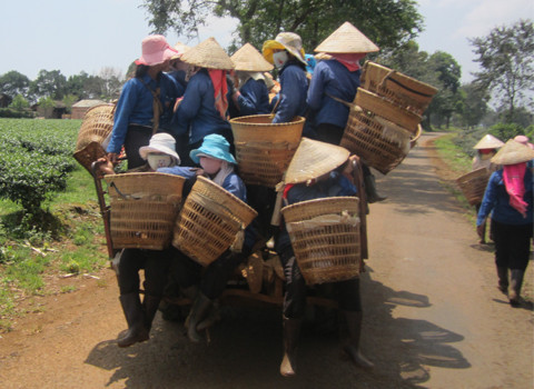 Công nông chở rất là nhiều người, chụp tại Gia Nghĩa, Đăk Nông. Ảnh: Nguyễn Trọng Toán Công nông chở rất là nhiều người, chụp tại Gia Nghĩa, Đăk Nông. Ảnh: Nguyễn Trọng Toán