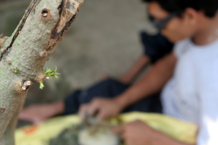 Khi chúng tôi ghi những hình ảnh cuối cùng trong phóng sự về em, Sô Phiếp đề nghị: “ Khi nào có thể, các anh cho em xin vài tấm ảnh, em gửi về quê để gia đình thấy được ở nơi này em vẫn mạnh khỏe. Đã 2 năm nay, em chưa có điều kiện về quê thăm mẹ”. Khi chúng tôi ghi những hình ảnh cuối cùng trong phóng sự về em, Sô Phiếp đề nghị: “ Khi nào có thể, các anh cho em xin vài tấm ảnh, em gửi về quê để gia đình thấy được ở nơi này em vẫn mạnh khỏe. Đã 2 năm nay, em chưa có điều kiện về quê thăm mẹ”.