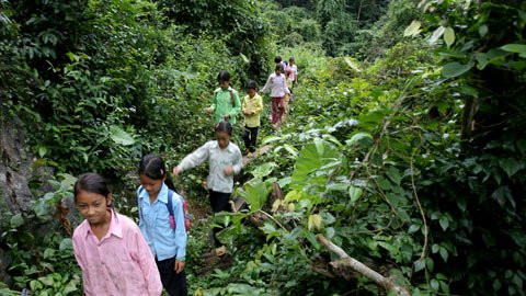 Không phải người bản địa rất dễ bị lạc trong khu rừng rậm rạp hàng ngày các em vẫn phải băng qua để đến trường.