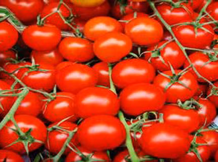 Cà chua nấu chín làm chậm và tiêu diệt tế bào ung thư