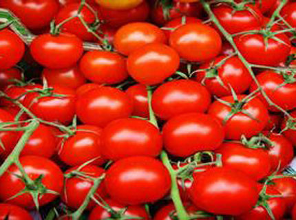 Cà chua có thể "tiêu diệt" tế bào ung thư nhờ chất lycopene Cà chua nấu chín làm chậm và tiêu diệt tế bào ung thư