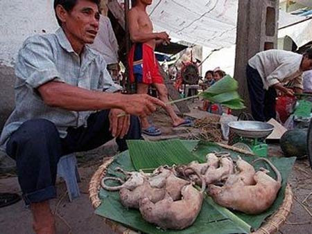 Tuy nhiên nhiều quốc gia phương Tây lại cho rằng chuột là một con vật gặm nhấm đáng sợ, chui rúc ở những nơi bẩn thỉu và họ sẽ không dám ăn món ăn làm từ chúng. Tuy nhiên nhiều quốc gia phương Tây lại cho rằng chuột là một con vật gặm nhấm đáng sợ, chui rúc ở những nơi bẩn thỉu và họ sẽ không dám ăn món ăn làm từ chúng.