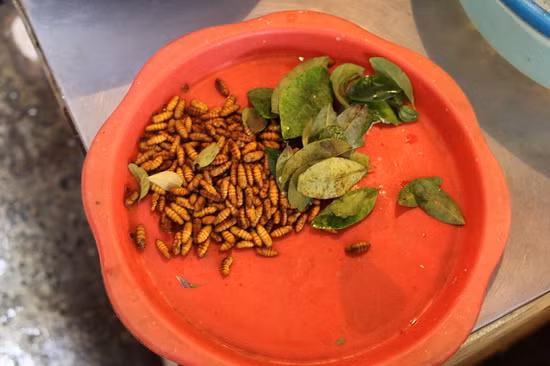 Trong khi đó, người nước ngoài lại "ghê sợ" món ăn này vì "trông chúng chẳng khác nào một lũ sâu". Một số nước châu Á cũng ăn nhộng, thậm chí là ấu trùng ong nhưng ở các nước phương Tây, tuyệt nhiên không có món ăn này trong thực đơn.