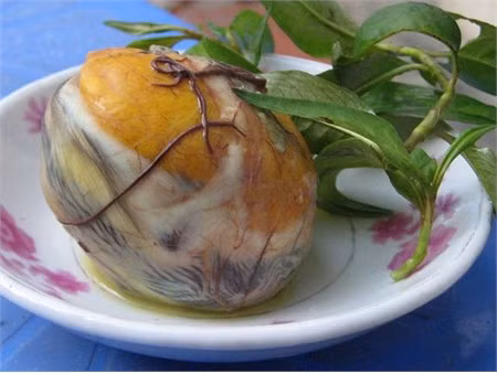 1. Trứng vịt lộn: Trứng vịt lộn hay hột vịt lộn là món ăn được chế biến từ quả trứng vịt khi phôi đã phát triển thành hình. Trứng vịt lộn là một trong những món ăn nhẹ bình dân ở Việt Nam... và là món ăn bổ dưỡng.