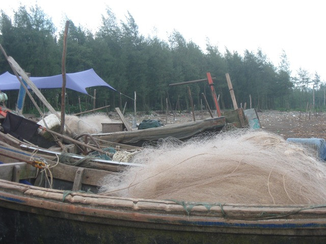 Cùng những chiếc lưới nhỏ...