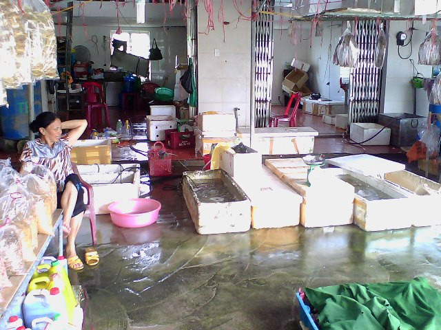 ...Và đó cũng là một góc yên lặng cuộc sống gần khu du lịch biển Quất Lâm nhộn nhịp.