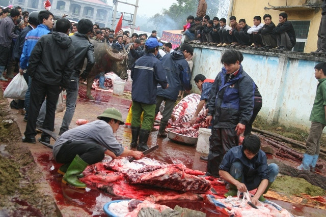 Những lò mổ "Ông Cầu" di động ngay làm việc hết công suốt