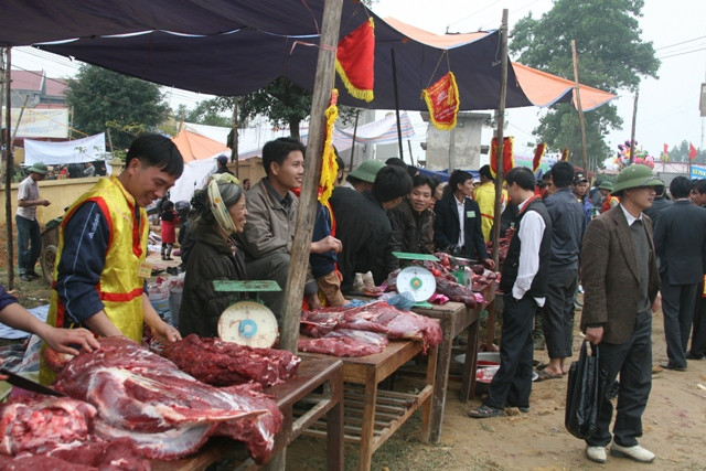 ...Bên cạnh những trâu tham gia thi đấu