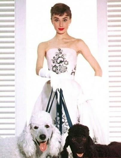 Audrey Hepburn (1929-1993) là một diễn viên điện ảnh huyền thoại của những thập niên 1950, 1960. Qua các cuộc bầu chọn, bà thường được xem là một trong những phụ nữ đẹp nhất thế kỷ 20.