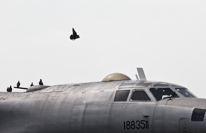 Tu-95 (định danh NATO: Bear) – máy bay ném bom chiến lược của Liên Xô. Oanh tạc cơ này đã đi vào hoạt động từ năm 1956 và trở thành một trong những máy bay ném bom có thời gian phục vụ lâu nhất thế giới. Tu-95 (định danh NATO: Bear) – máy bay ném bom chiến lược của Liên Xô. Oanh tạc cơ này đã đi vào hoạt động từ năm 1956 và trở thành một trong những máy bay ném bom có thời gian phục vụ lâu nhất thế giới.