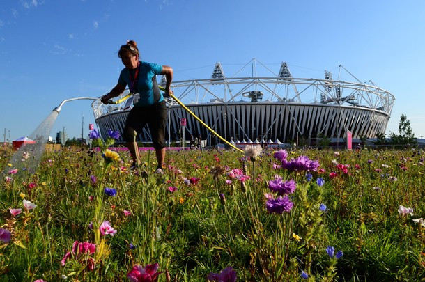 Luôn có người chăm sóc.