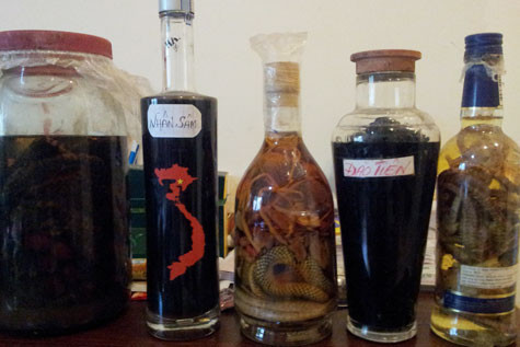 Những loại rượu thuốc ngâm tự phát ẩn chứa nguy hiểm khó lường. Ảnh: Trâm Anh.