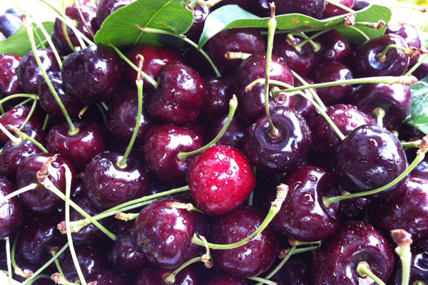 Cherry được bán rong trên đường. Người bán cho biết đây là cherry Canada do được đựng trong các thùng carton ghi rõ xuất xứ từ Canada. Tuy nhiên, ông Nguyễn Văn Ngã - Chi cục Kiểm dịch thực vật vùng II cho biết, các cơ quan chức năng chỉ kiểm tra được chất lượng trái cây ở thời điểm nhập khẩu về ở sân bay hay bến cảng, còn khi đã vào kho của doanh nghiệp hay các đại lý thì không thể kiểm soát được chất lượng. Cherry được bán rong trên đường. Người bán cho biết đây là cherry Canada do được đựng trong các thùng carton ghi rõ xuất xứ từ Canada. Tuy nhiên, ông Nguyễn Văn Ngã - Chi cục Kiểm dịch thực vật vùng II cho biết, các cơ quan chức năng chỉ kiểm tra được chất lượng trái cây ở thời điểm nhập khẩu về ở sân bay hay bến cảng, còn khi đã vào kho của doanh nghiệp hay các đại lý thì không thể kiểm soát được chất lượng.