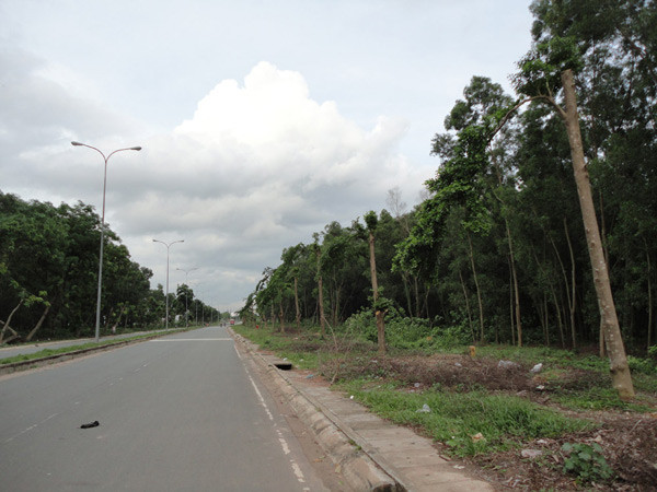Đường vào khu KTX (khu B) ĐHQG TP.HCM “heo hút” với bạt ngàn tràm. >>ĐH Quốc Gia TPHCM trả lời vụ đuổi sinh viên khỏi ký túc xá >>Xúc động hình ảnh chú lính chì Thiện Nhân vào lớp 1 >>Gặp cô giáo 9X siêu cute trong ngày khai giảng trường Ams Xúc động clip học sinh khiếm thính hát quốc ca bằng tay