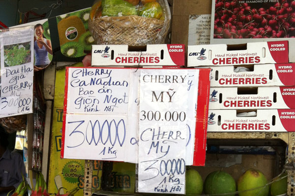 Cherry Mỹ từ một cửa hàng bán trái cây ở quận 1 được bán với giá 300.000 đồng/kg. Theo những khách hàng sành ăn cherry, giá cả loại trái cây này chênh nhau ở các cửa hàng phụ thuộc vào độ tươi ngon của sản phẩm, nếu bị héo hay bị dập thì giá bán càng rẻ. Cherry Mỹ từ một cửa hàng bán trái cây ở quận 1 được bán với giá 300.000 đồng/kg. Theo những khách hàng sành ăn cherry, giá cả loại trái cây này chênh nhau ở các cửa hàng phụ thuộc vào độ tươi ngon của sản phẩm, nếu bị héo hay bị dập thì giá bán càng rẻ.