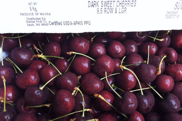 Trái cherry xuất xứ Mỹ của Công ty FSF có màu đỏ sậm, tươi và có vị ngọt đậm.