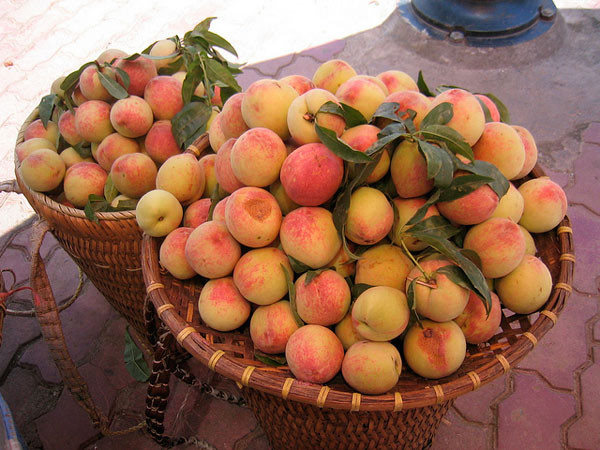 Nếu là đào Sapa thật thì có màu sắc khác hẳn đào Trung Quốc và ăn ngon hơn rất nhiều. Ảnh: hasapa.com