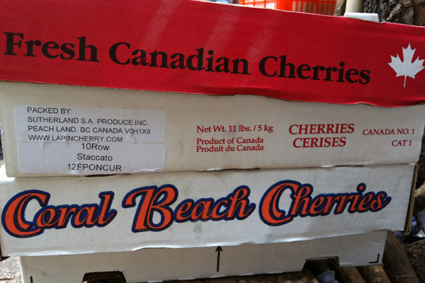 Hai loại vỏ hộp cherry này đúng là từ Canada, được bán từ một đại lý lớn ở Chợ Lớn, quận 5. Cherry ở thùng có vỏ hộp màu đỏ được đại lý bán ra là 1.050.000 đồng/5kg, cherry từ thùng màu trắng được bán ra với giá 1.350.000 đồng/5kg. Như vậy, người bán rong đã mua vào với giá trên 200.000 đồng/kg. Hôm nào cherry đẹp mã, còn tươi người bán sẽ "tùy nghi" ra giá bán lẻ. Hai loại vỏ hộp cherry này đúng là từ Canada, được bán từ một đại lý lớn ở Chợ Lớn, quận 5. Cherry ở thùng có vỏ hộp màu đỏ được đại lý bán ra là 1.050.000 đồng/5kg, cherry từ thùng màu trắng được bán ra với giá 1.350.000 đồng/5kg. Như vậy, người bán rong đã mua vào với giá trên 200.000 đồng/kg. Hôm nào cherry đẹp mã, còn tươi người bán sẽ "tùy nghi" ra giá bán lẻ.