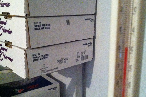 Kho lạnh chứa cherry của Công ty TNHH trái cây tươi an toàn- FSF (chi nhánh TP.HCM) đảm bảo nhiệt độ khoảng 0 độ C. Với điều kiện này, trái cherry có thể giữ được độ tươi trong 10 ngày. Kho lạnh chứa cherry của Công ty TNHH trái cây tươi an toàn- FSF (chi nhánh TP.HCM) đảm bảo nhiệt độ khoảng 0 độ C. Với điều kiện này, trái cherry có thể giữ được độ tươi trong 10 ngày.