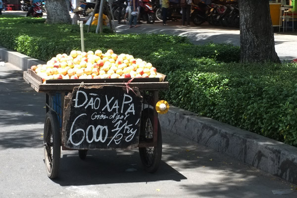 Không ít người thắc mắc, đào "Xa Pa" ở vùng nào?