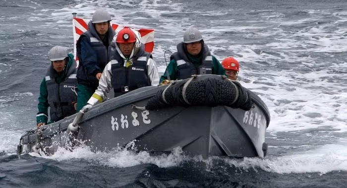 Hình ảnh lực lượng hải quân Nga Nhật tập trận trên Vịnh Peter Đại Đế.