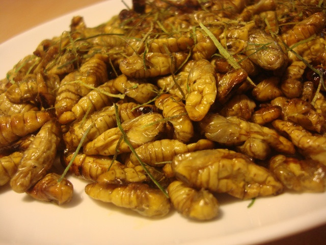 Đuông dừa giống như sâu khoai, sống ở trong lõi cây dừa và thường to bằng một ngón tay người. Đuông bắt đầu được ưa chuộng rộng rãi và trở thành đặc sản ở Việt Nam từ khoảng chục năm nay. Đuông dừa giống như sâu khoai, sống ở trong lõi cây dừa và thường to bằng một ngón tay người. Đuông bắt đầu được ưa chuộng rộng rãi và trở thành đặc sản ở Việt Nam từ khoảng chục năm nay.