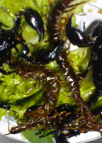 Rết cũng là một trong những món ăn khoái khẩu của dân nhậu. Rết cũng là một trong những món ăn khoái khẩu của dân nhậu.