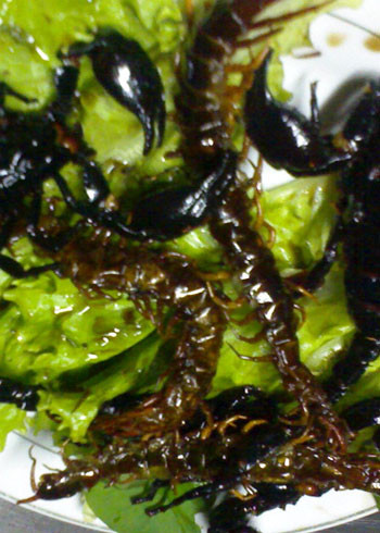 Rết cũng là một trong những món ăn khoái khẩu của dân nhậu. Rết cũng là một trong những món ăn khoái khẩu của dân nhậu.