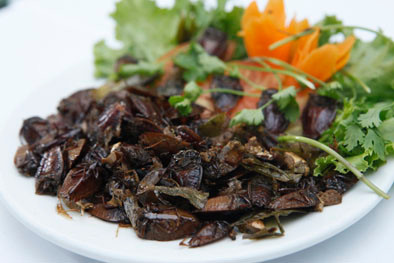 Tương tự như bọ cạp còn có các món: bọ hung nướng, bọ xít nướng. Tương tự như bọ cạp còn có các món: bọ hung nướng, bọ xít nướng.