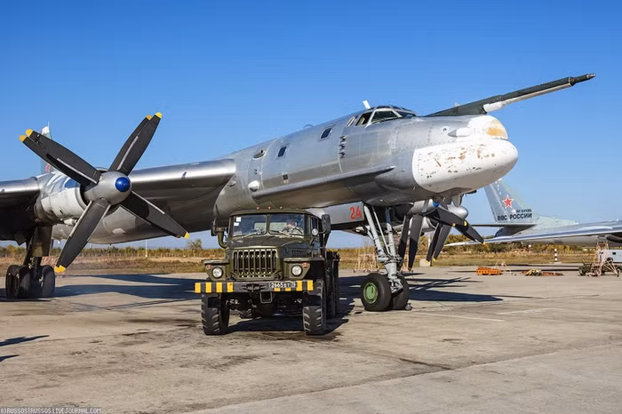 Oanh tạc cơ Tu-95MS.