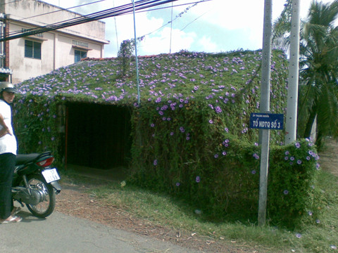 Ngôi nhà hoa. Ngôi nhà hoa.