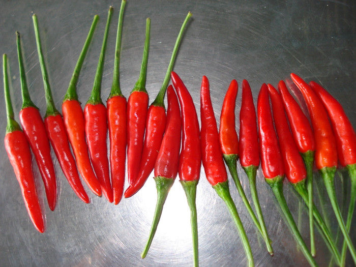 Ớt: Ớt là gia vị có chứa nhiều capsaicin - thành phần giúp ớt có vị cay nóng. Nhờ nó mà ớt có thể giúp giảm được các cơn đau bằng cách kích thích sức đề kháng của một số tế bào thần kinh.