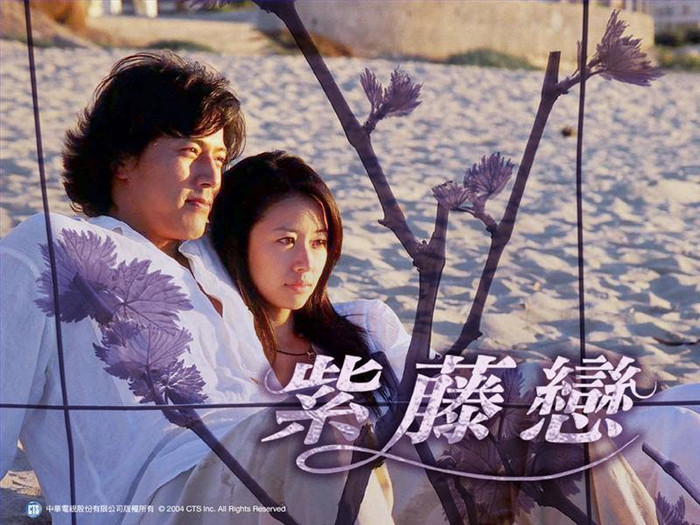 10. Mối tình hoa tử đằng: Lâm Tâm Như và Han Jae Suk 10. Mối tình hoa tử đằng: Lâm Tâm Như và Han Jae Suk