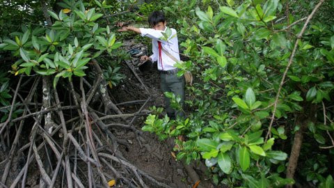 Nguyễn Văn Hậu nhà ở ấp Cây Phước (An Viên Đông) do điều kiện gia đình quá khó khăn, bố mất sớm, mẹ lấy chồng nên 3 anh em Hậu hiện ở với ông bà ngoại, nhà chỉ có một chiếc xuồng cũ để ông dùng đi làm thuê, làm mướn nên hàng ngày em đi bộ đi học qua những đoạn đường lầy lội, rậm rạp. Nếu không có đoạn đường bộ có lẽ Hậu đã phải bỏ học từ lâu. Nguyễn Văn Hậu nhà ở ấp Cây Phước (An Viên Đông) do điều kiện gia đình quá khó khăn, bố mất sớm, mẹ lấy chồng nên 3 anh em Hậu hiện ở với ông bà ngoại, nhà chỉ có một chiếc xuồng cũ để ông dùng đi làm thuê, làm mướn nên hàng ngày em đi bộ đi học qua những đoạn đường lầy lội, rậm rạp. Nếu không có đoạn đường bộ có lẽ Hậu đã phải bỏ học từ lâu.