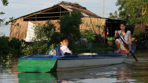 Để tiết kiệm xăng, dầu nhiều gia đình không dùng máy mà chèo xuồng bằng tay đưa con đến trường. Để tiết kiệm xăng, dầu nhiều gia đình không dùng máy mà chèo xuồng bằng tay đưa con đến trường.