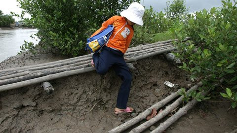 Do biên độ triều cường cao từ tháng 10 đến tháng 3 hàng năm nên vào thời điểm nước rút việc xuống xuồng rất khó khăn. Do biên độ triều cường cao từ tháng 10 đến tháng 3 hàng năm nên vào thời điểm nước rút việc xuống xuồng rất khó khăn.