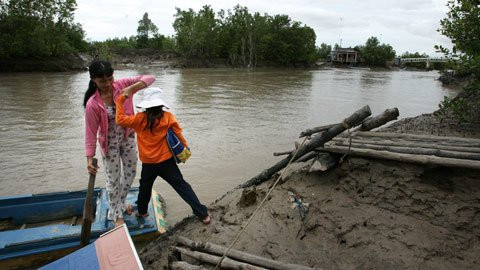 Với thân hình nhỏ bé, những em học sinh nhỏ tuổi phải luôn có người lớn đỡ xuống xuồng. Với thân hình nhỏ bé, những em học sinh nhỏ tuổi phải luôn có người lớn đỡ xuống xuồng.