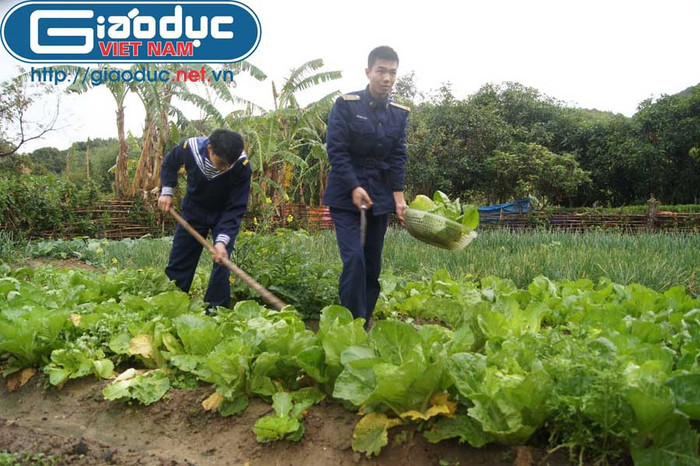 Cán bộ, chiến sĩ Trạm radar 485 thuộc Tiểu đoàn radar đối hải 151 (Vùng 1 Hải quân) với vườn rau tăng gia.