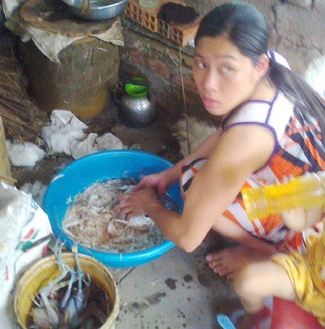 Đối với những con cò sắp “ngủm” được đưa ngay vào bếp tại các quán nhậu để chế biến thành những món ăn phục vụ cho du khách. Cò sống có giá 45.000 đồng/con. Nạn bẫy, bắt công khai đang khiến hàng ngàn chim, cò đứng trước nguy cơ bị tận diệt.