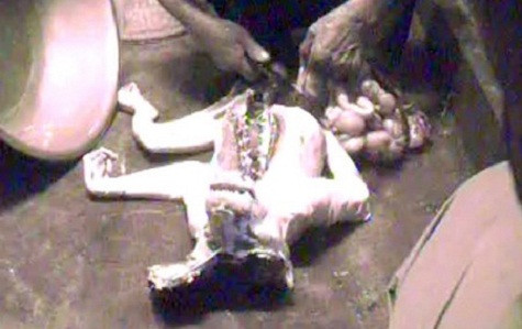 Trong gian phòng tối, con khỉ còn sống bị trói quặt tay ra sau lưng. Người đầu bếp dúi nó xuống sàn. Một người phụ nữ xối nước nóng vào nó để người kia vặt lông. Con khỉ không kêu la, nhưng nó giẫy giụa mãnh liệt. Người đầu bếp dùng con dao to đập nhiều nhát vào cái đầu trọc của con khỉ. Khi đã chết hẳn, người ta bắt đầu phanh thây nó. Trong gian phòng tối, con khỉ còn sống bị trói quặt tay ra sau lưng. Người đầu bếp dúi nó xuống sàn. Một người phụ nữ xối nước nóng vào nó để người kia vặt lông. Con khỉ không kêu la, nhưng nó giẫy giụa mãnh liệt. Người đầu bếp dùng con dao to đập nhiều nhát vào cái đầu trọc của con khỉ. Khi đã chết hẳn, người ta bắt đầu phanh thây nó.