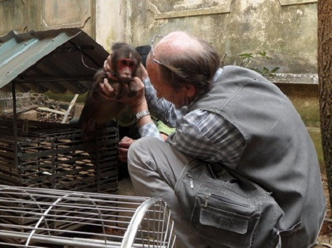 Tương lai của các loài linh trưởng ở khu vực Đông Nam Á rất bấp bênh. Việc bảo vệ và phục hồi chúng sẽ đòi hỏi rất nhiều thời gian và công sức. Nhưng không thể không làm điều đó. Tương lai của các loài linh trưởng ở khu vực Đông Nam Á rất bấp bênh. Việc bảo vệ và phục hồi chúng sẽ đòi hỏi rất nhiều thời gian và công sức. Nhưng không thể không làm điều đó.