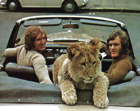Năm 1969, Anthony và John Rendall, hai công dân Úc cư ngụ tại London thấy một con sư tử nhỏ nặng 35 cân nằm một cách tội nghiệp trong cũi tại một tiệm tạp hóa. Anthony và John đặt tên cho nó làChristian. Một năm sau, chú sư sử Christian bắt đầu tăng vọt lên tới 185 cân, chủ của nó phải bỏ ra tới 30 bảng Anh một tuần để mua lương thực cho nó. Họ biết rõ là không thể nuôi nó mãi được, nhưng không biết phải làm sao. Họ được khuyên đưa chú sư tử đến Kenya (Châu Phi), đây được khẳng định là môi trường thích hợp cho chú sư tử cưng. Anthony và John đáp máy bay cùng với Christian về nhà mới ở Kenya. Tuy sống tại London, họ vẫn ghé thăm Kenya vài lần để ngắm nhìn con sư tử yêu quý từ xa.