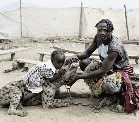 Một điều kì lạ là những người dân ở đây, kể cả các em bé đều có khả năng thuần dưỡng những loài động vật hoang dã này. Tất cả mọi người đều có thể đến gần, ôm ấp và chơi đùa cùng với chúng.