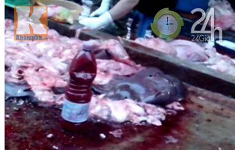 Lòng, gan được vứt tại lối đi trong lò mổ... Lòng, gan được vứt tại lối đi trong lò mổ...