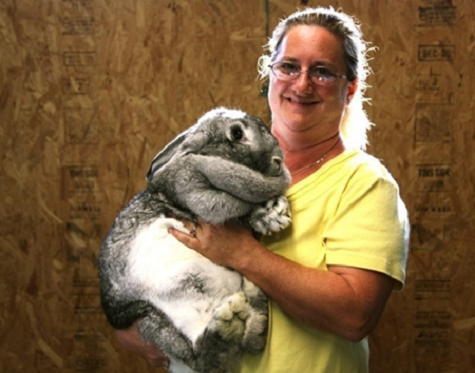 Những chú thỏ này không hề đáng sợ như vẻ bề ngoài. Ngược lại, chúng rất thân thiện và tò mò, chúng được nuôi để làm thú cưng trong nhà hoặc để triển lãm. Donald Wilson và vợ ông là một trong số những người hiếm hoi làm nghề này tại Florida. Họ nuôi chúng ở trong những phòng có điều hòa và thường xuyên đưa chúng ra ngoài để luyện tập. Wilson cho biết mọi người đến tham quan thường nói: “Tôi ước gì mình cũng có 1 con như vậy”. Những chú thỏ này không hề đáng sợ như vẻ bề ngoài. Ngược lại, chúng rất thân thiện và tò mò, chúng được nuôi để làm thú cưng trong nhà hoặc để triển lãm. Donald Wilson và vợ ông là một trong số những người hiếm hoi làm nghề này tại Florida. Họ nuôi chúng ở trong những phòng có điều hòa và thường xuyên đưa chúng ra ngoài để luyện tập. Wilson cho biết mọi người đến tham quan thường nói: “Tôi ước gì mình cũng có 1 con như vậy”.