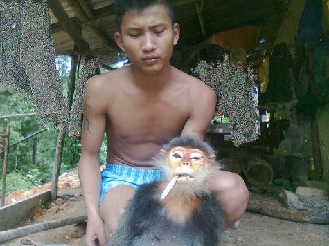 Quân nhân khoe "chiến lợi phẩm" trước khi đem những con khỉ này nhúng nước sôi để làm lông. Quân nhân khoe "chiến lợi phẩm" trước khi đem những con khỉ này nhúng nước sôi để làm lông.