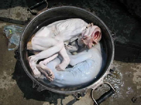 Người ta nhẫn tâm lấy óc khỉ để ăn và thân con khỉ để nấu cao. (Ảnh Thiennhien.net) Người ta nhẫn tâm lấy óc khỉ để ăn và thân con khỉ để nấu cao. (Ảnh Thiennhien.net)